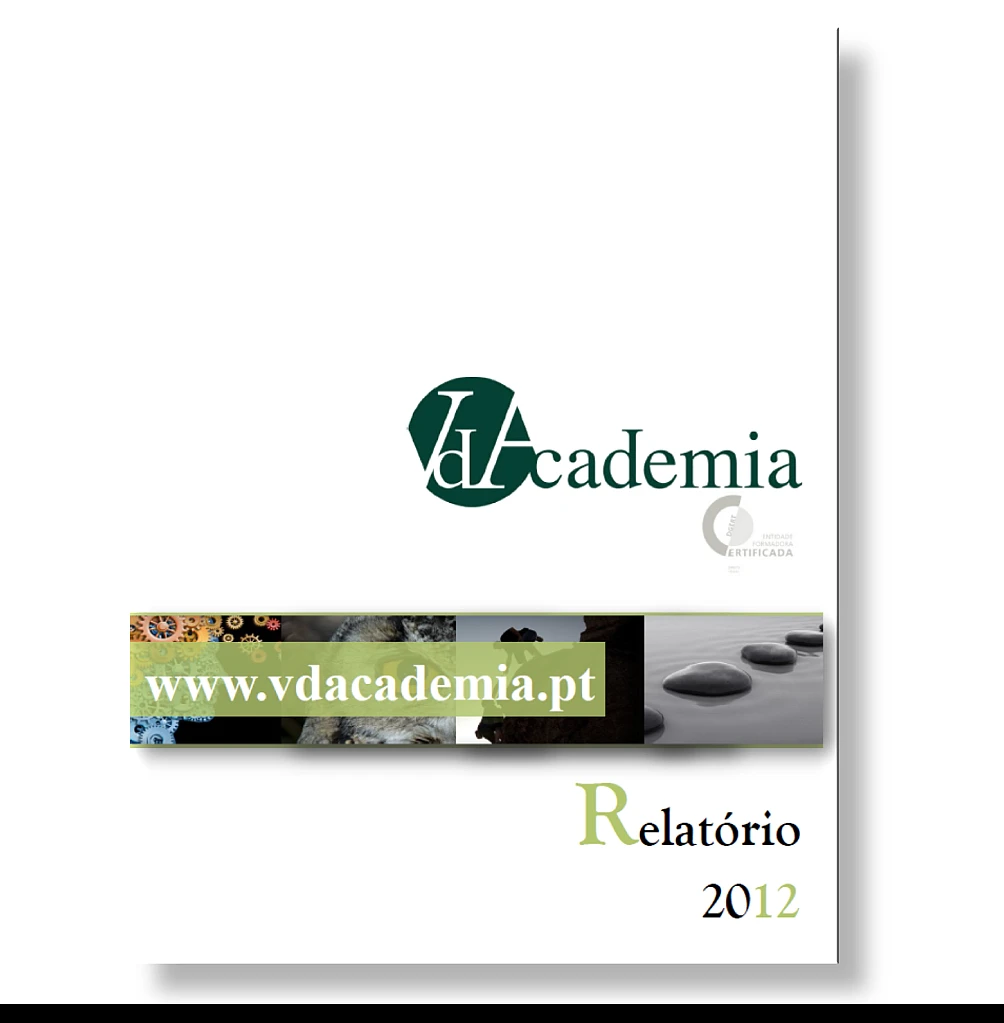 Relatório VdAcademia 2012