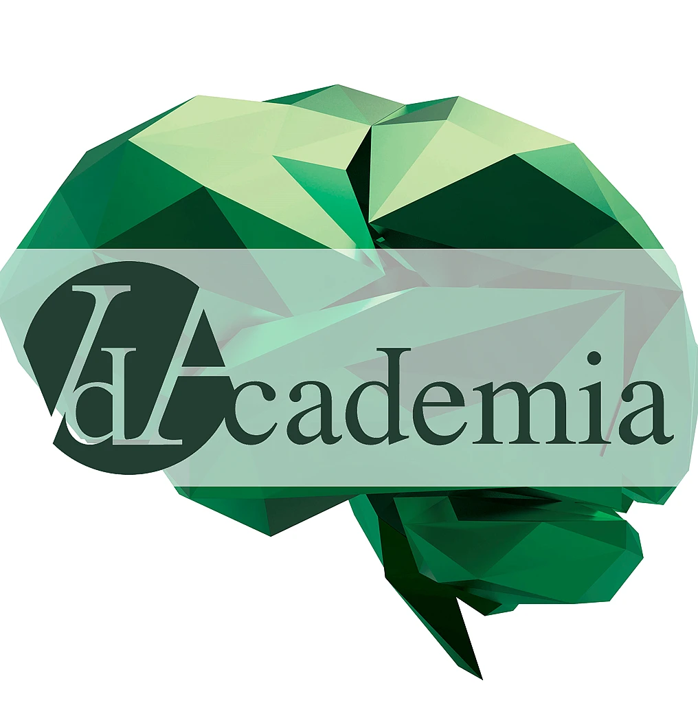 VdAcademia's activity report for 2014 in video
