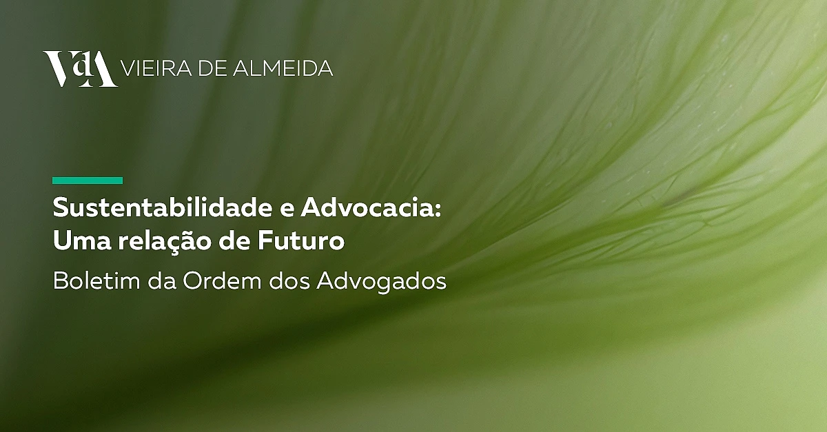  Sustentabilidade e Advocacia: Uma relação de Futuro