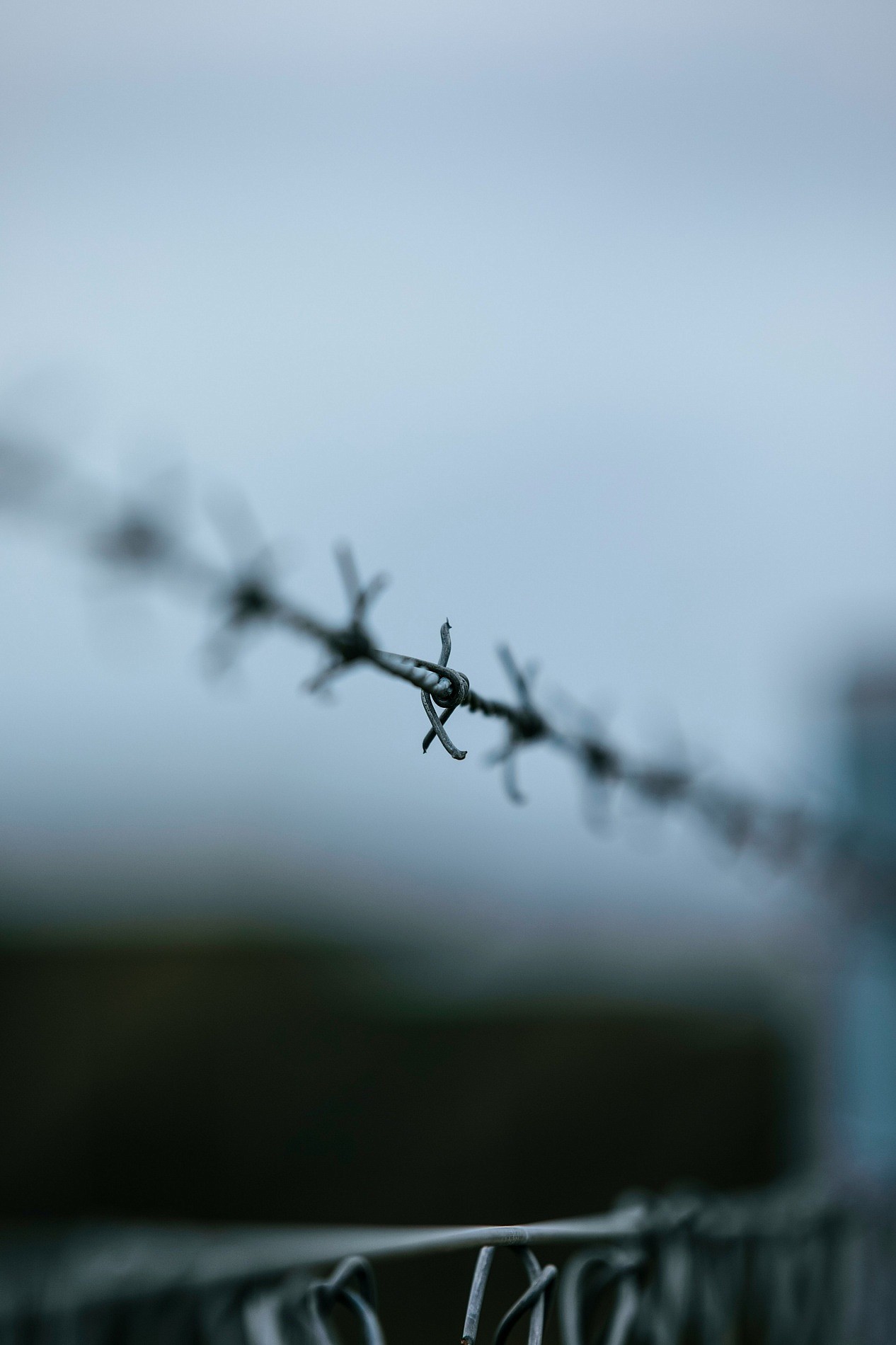 Social Economy & Human Rights