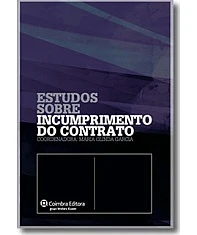 Responsabilidade das concessionárias por acidentes de viação ocorridos em auto-estradas - Entre a responsabilidade civil contratual e a responsabilidade delitual