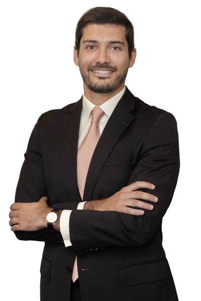 Domingos Freire de Andrade