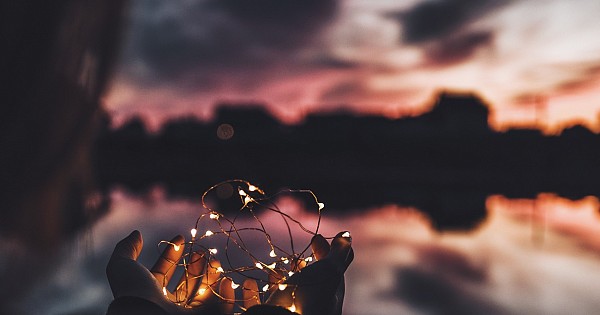 Madalena Rocha e Melo - Associados, Equipa - VdA - Vieira ...