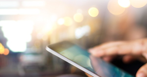 Caio de Mello Ferreira Estagiários, Equipa VdA Vieira de Almeida