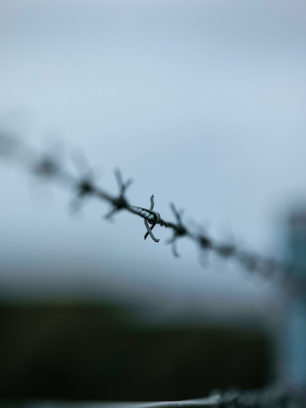 Social Economy & Human Rights