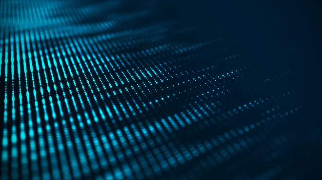 Portugal's Digital Services Act Implementation Law: What You Need to Know