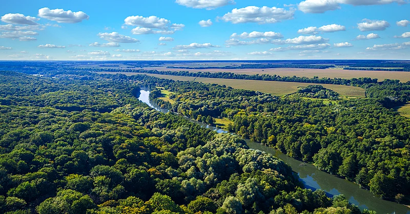 VdA Podcast Ep. 4 | Chegou o momento dos mercados voluntários de carbono