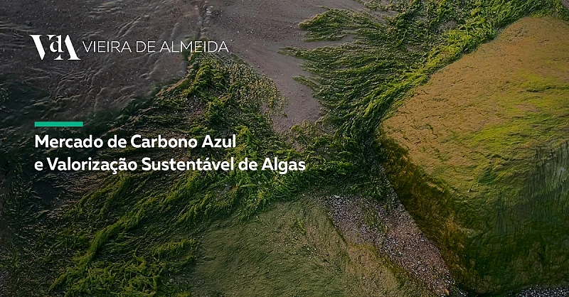 Workshop de Convergência sobre os Ecossistemas de Algas em Portugal