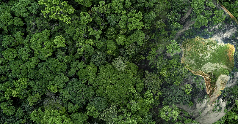 VdA Podcast Ep.9 | Mercados Voluntários de Carbono: Nova Lei e suas oportunidades