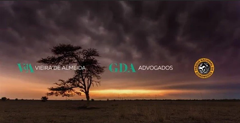 VdA promotes sustainability and the schooling of children in the Gorongosa National Park