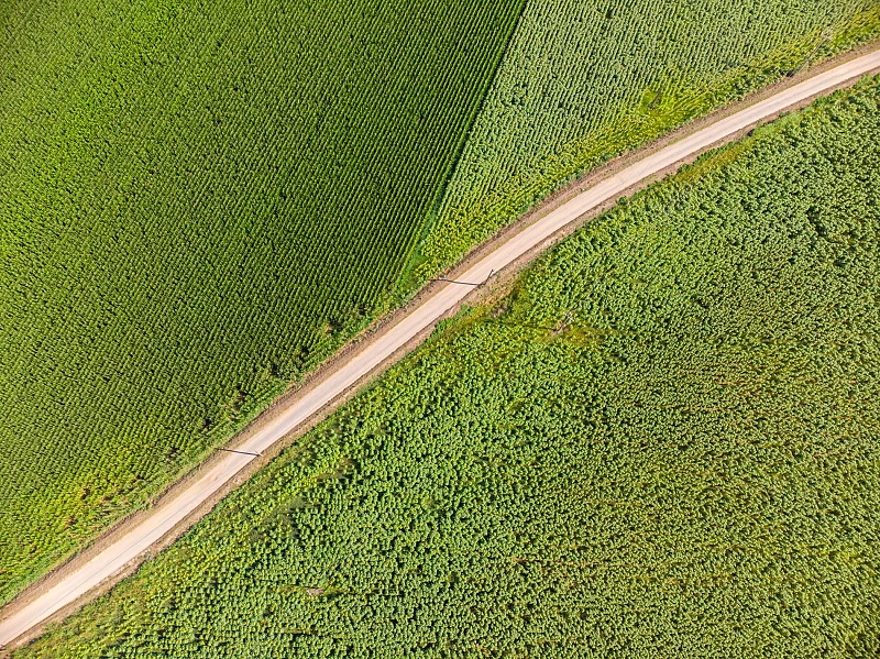 VdA Podcast Ep. 2 | A Lei do Clima