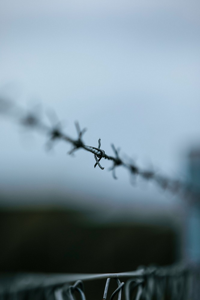 Social Economy & Human Rights